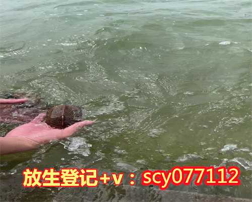 常州鳄龟外来物种不能放生，鳄龟外来物种不能放生，广州适合放生什么鱼