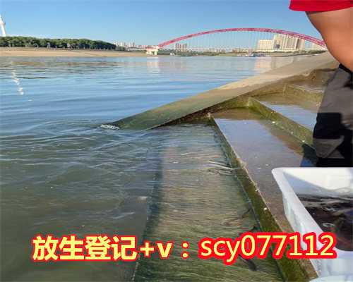 放生 积德陕西，陕西的彩虹桥可以放生河蚌吗【5月28日放生日放生什么】