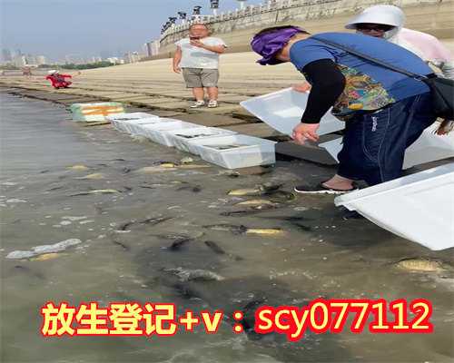 中华放生网2023年，静海一村民去年救的海鸥今年回来会恩人中国佛教放生网_放