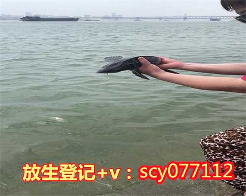 放生蛇的感应扬州,扬州哪里比较适合放生野生甲鱼【扬州放生河边地点】