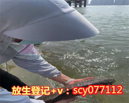 南京放生鱼去哪里放，江苏南京市民租船放生鱼引江豚争抢觅食