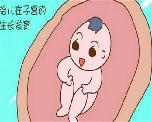 信阳助孕公司评选：寻找最可靠的辅助生殖伙伴