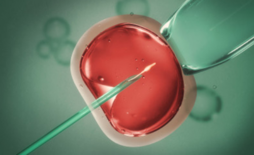 
              洛阳本地做试管选三院好还是妇幼好？
