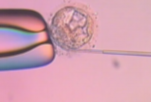 精选郑州辅助生殖机构：助您实现好孕之路