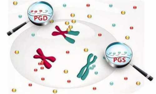 平顶山郏县试管婴儿需要什么条件？平顶山不孕不育哪里好？