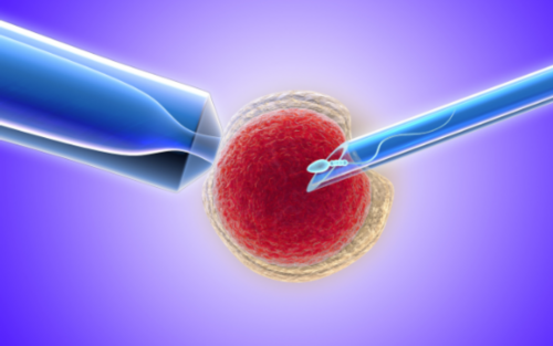 郑州顶尖私立医院评选：三代试管技术哪家强？