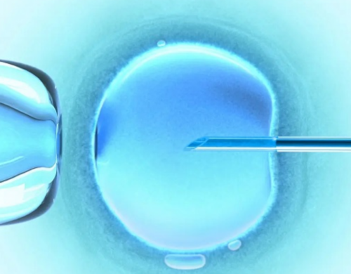 开封试管助孕全解析：从初步咨询到成功生育的费用指南