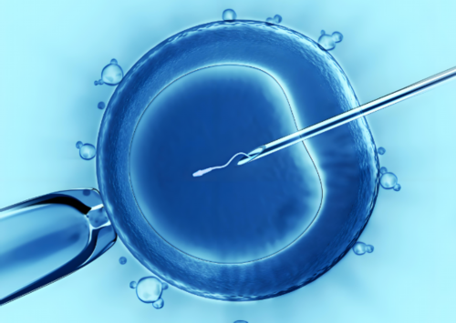 河南开封试管婴儿的费用与成功率解析：助您明智选择