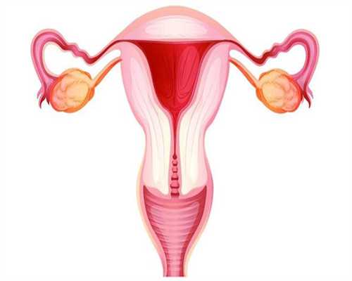 郑州试管助孕指南：哪些医院提供优质辅助生殖服务？