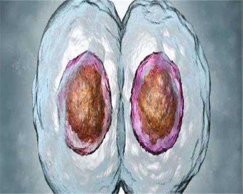 三代试管婴儿的费用构成与报销解析:私立机构费用揭秘