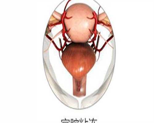 洛阳热门试管婴儿医院推荐及费用解析