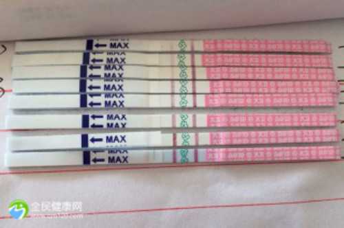 驻马店确山县试管婴儿医院精选：确山县中医院及其他选择