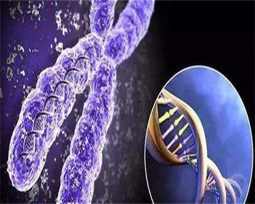 河南省做试管哪里最好_河南做人工试管