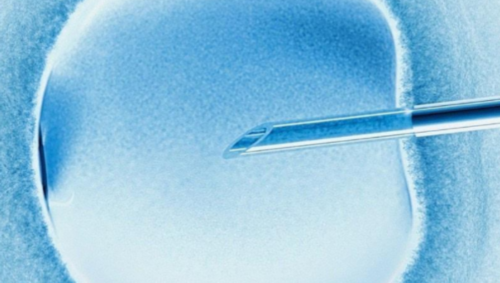 洛阳二院与妇幼试管技术对比及费用解析