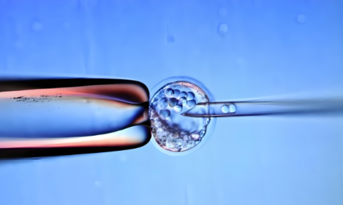 许昌做第二代试管婴儿需要多少钱,9万能搞定吗?