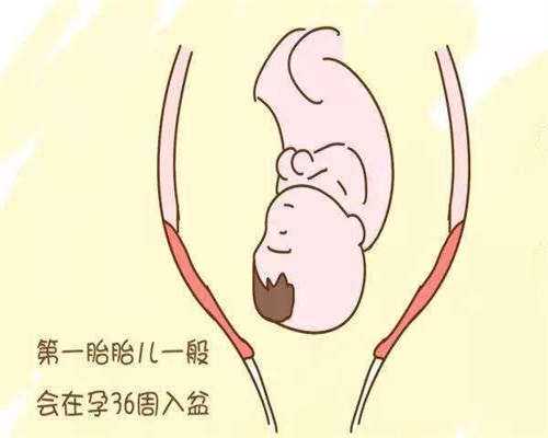
              开封市中心医院做试管婴儿前后大致要花多少费用？
