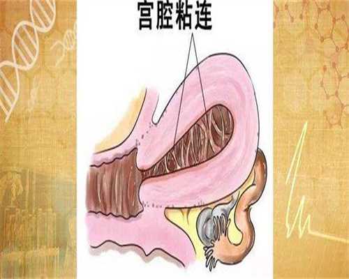 2026北京妇产医院辅助生殖成功率揭秘:助您了解代怀套餐与试管生儿子前景