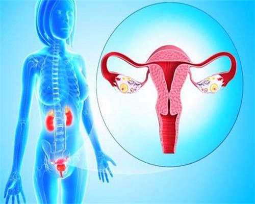 洛阳二院与洛阳妇幼试管助孕对比：如何选择？