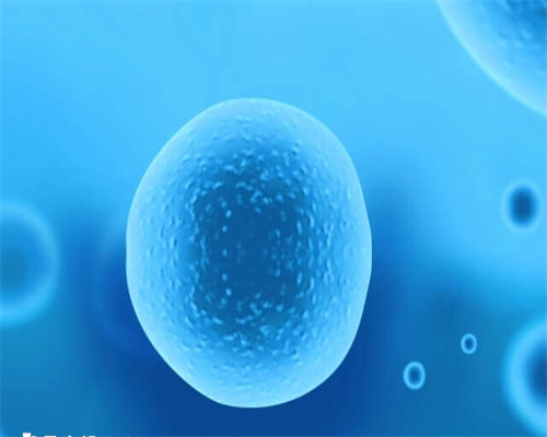 洛阳试管婴儿一文通?附三代费用清单!