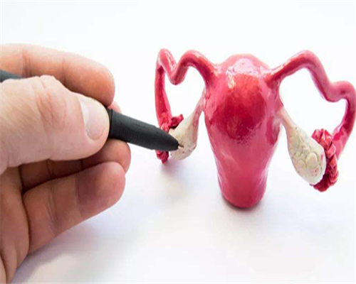 探索私人生殖机构的卵子冷冻年度费用