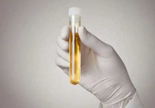 郑州私立医院三代试管助孕费用解析及选择性别可行性