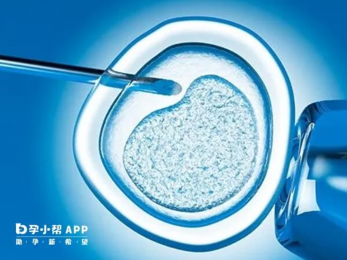 洛阳助孕选择指南：二院与三院试管成功率大比拼