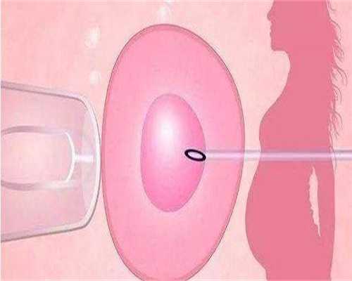 开封妇产医院试管婴儿费用，2026单周期助孕价格参考