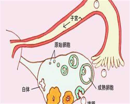 洛阳生殖医学助孕费用解析：揭秘试管婴儿价格与流程