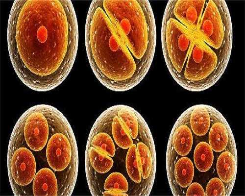 郑州三院试管婴儿费用明细：助您了解代生行情