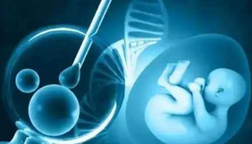 揭秘高成功率背后的秘密：信阳生殖科室的助孕实力