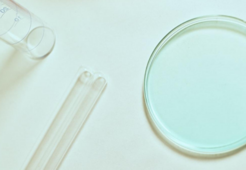 2026年冷冻囊胚的预产期测算要点与移植后到生产日期推算指南