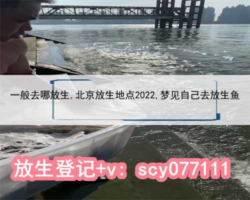 一般去哪放生,北京放生地点2022,梦见自己去放生鱼