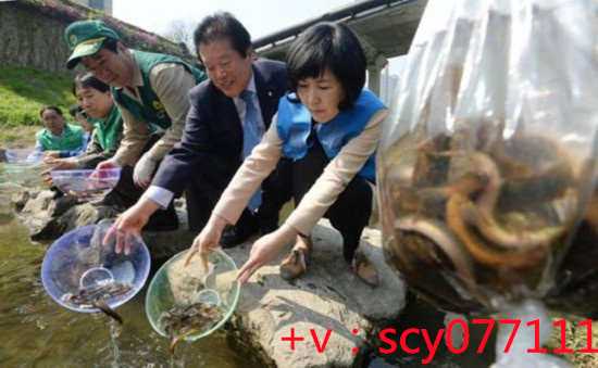 广州代放生的鱼去哪买，广州慈光护生2010年5月9日代放生公告