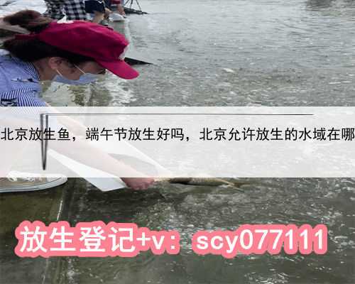 北京放生鱼，端午节放生好吗，北京允许放生的水域在哪