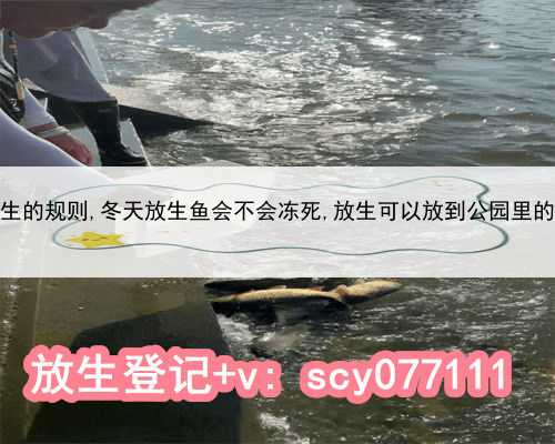 北京放生的规则,冬天放生鱼会不会冻死,放生可以放到公园里的湖里吗