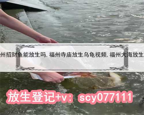 福州招财鱼能放生吗,福州寺庙放生乌龟视频,福州大海放生鱼