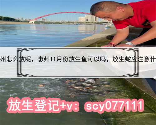 惠州怎么放呢，惠州11月份放生鱼可以吗，放生蛇应注意什么