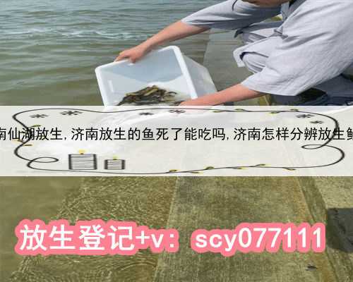 济南仙湖放生,济南放生的鱼死了能吃吗,济南怎样分辨放生鲤鱼