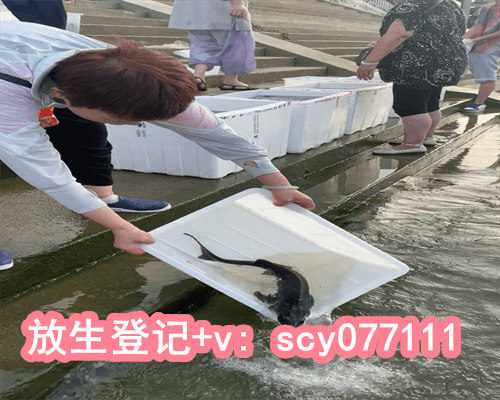 广州哪个湖可以代放生鱼的，广州市区是哪几个区