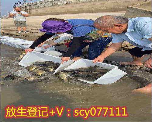 广州代放生鱼类哪个部门管理，芳村属于广州哪个区