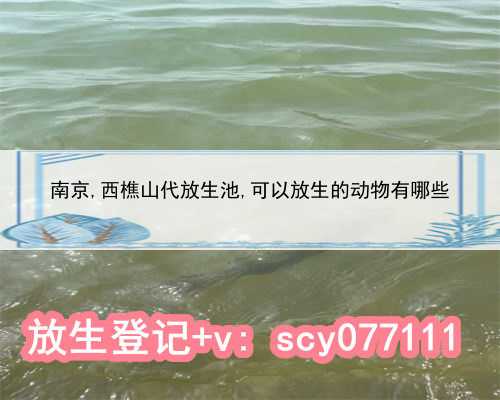 南京,西樵山代放生池,可以放生的动物有哪些