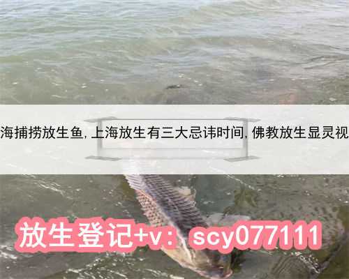 上海捕捞放生鱼