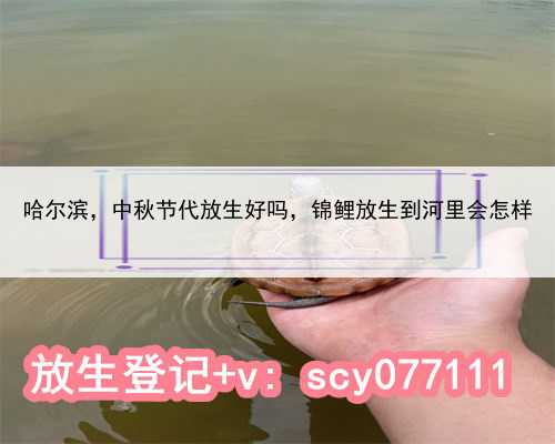 哈尔滨中秋节代放生好吗，锦鲤放生到河里会怎样